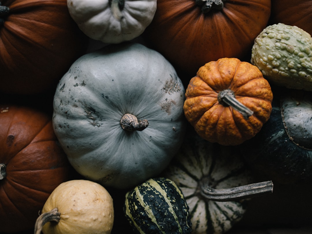 découvrez l'univers fascinant de la citrouille! apprenez tout sur ses bienfaits nutritionnels, ses différentes variétés, des recettes délicieuses et des idées de décoration pour halloween. laissez-vous inspirer par cet ingrédient polyvalent, parfait pour toutes les saisons.