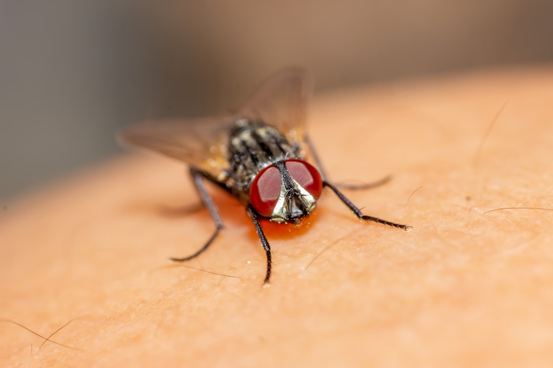 découvrez des solutions efficaces pour lutter contre les nuisibles de jardin. apprenez à identifier, prévenir et éliminer les insectes nuisibles tout en préservant l'équilibre écologique de votre espace vert.