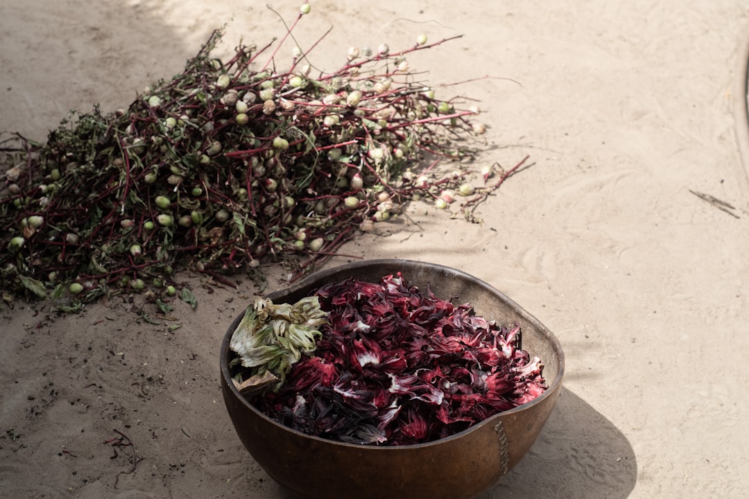 découvrez le bissap, une boisson rafraîchissante à base d'hibiscus, prisée en afrique de l'ouest. apprenez à préparer cette infusion colorée et savoureuse, riche en antioxydants et idéale pour rehydrater vos chaudes journées d'été.