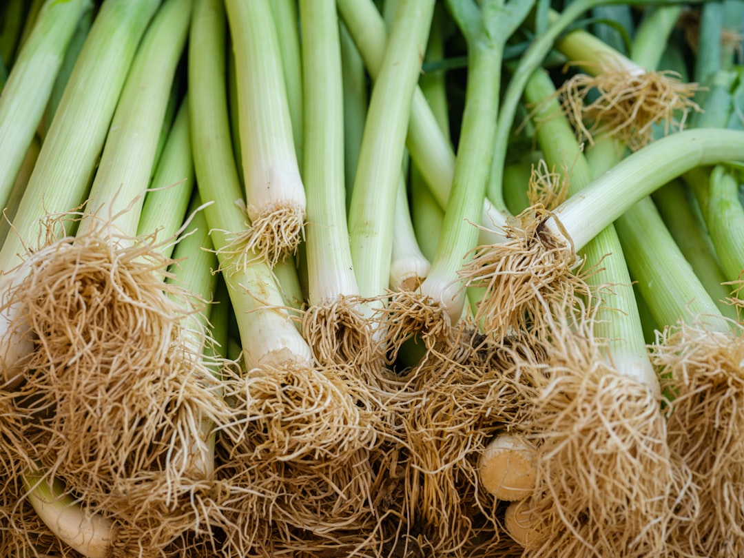 découvrez les bienfaits des poireaux, un légume savoureux et nutritif, idéal pour rehausser vos plats. apprenez des recettes simples et des astuces de cuisine pour profiter pleinement de ce super-aliment !