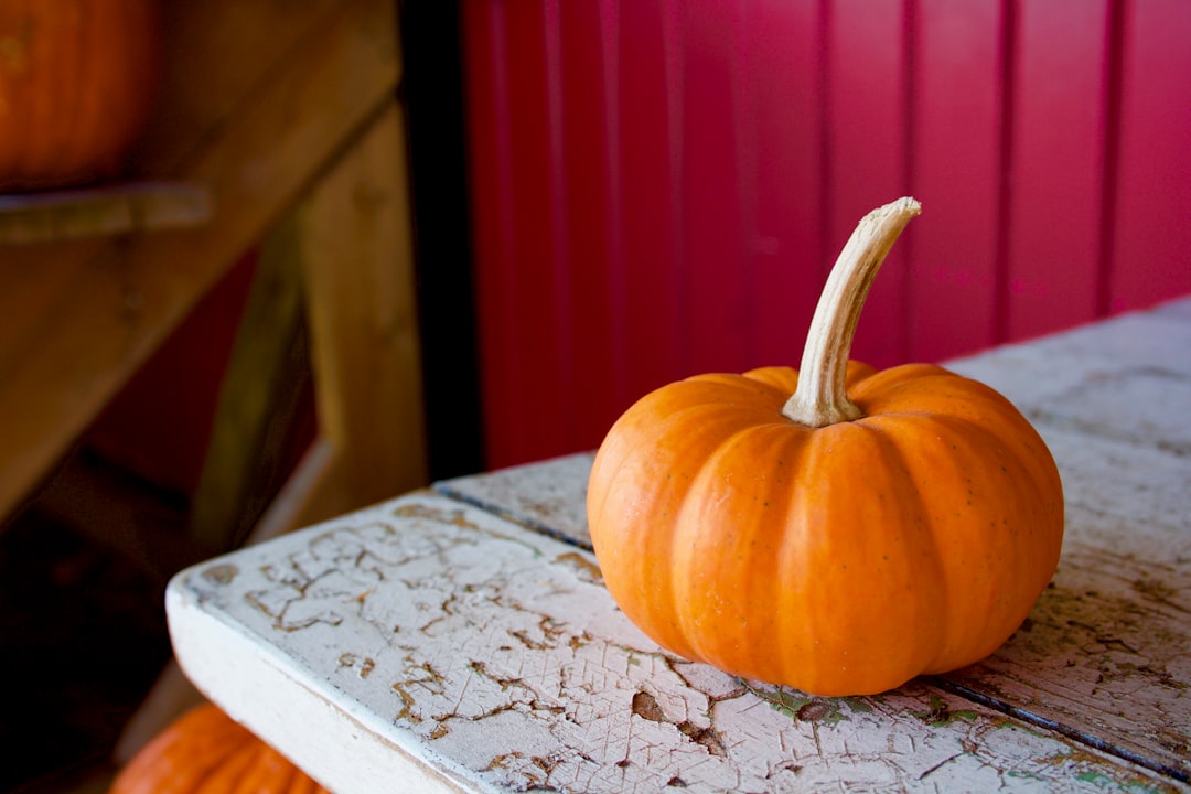 découvrez le monde fascinant de la citrouille ! plantes emblématiques de l'automne, elles sont parfaites pour vos décorations et délicieuses en cuisine. explorez les différentes variétés, recettes savoureuses et conseils de culture.