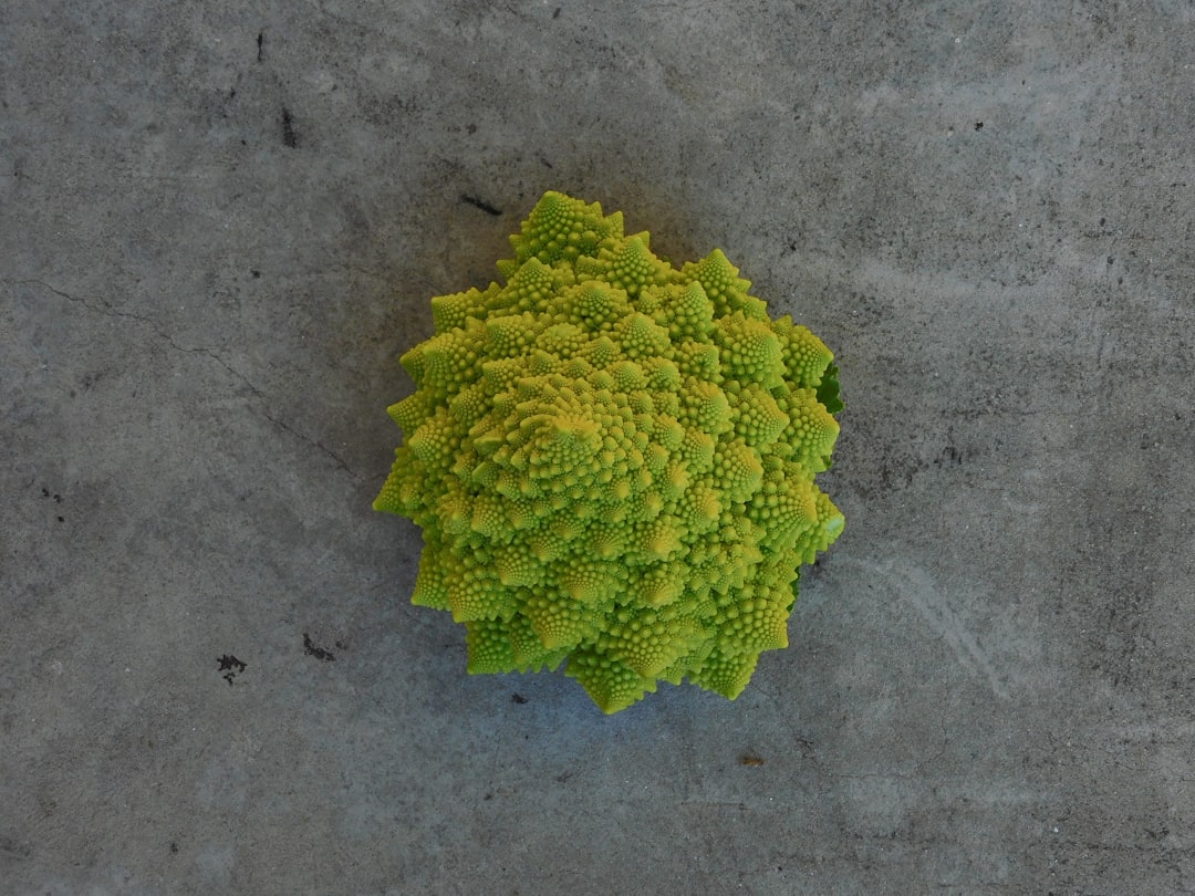 découvrez le romanesco, ce légume fascinant aux formes géométriques uniques et à la couleur vert éclatant. apprenez comment le cuisiner et l'intégrer dans vos plats pour une touche délicieuse et esthétique.