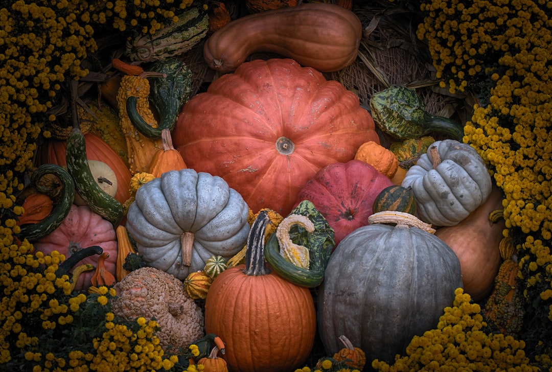 découvrez le spaghetti squash, une courge délicieuse et polyvalente qui se cuisine facilement. apprenez à préparer ce plat sain et original, parfait pour remplacer les pâtes. savourez ses nombreuses recettes et santé tout en profitant de ses saveurs délicates.