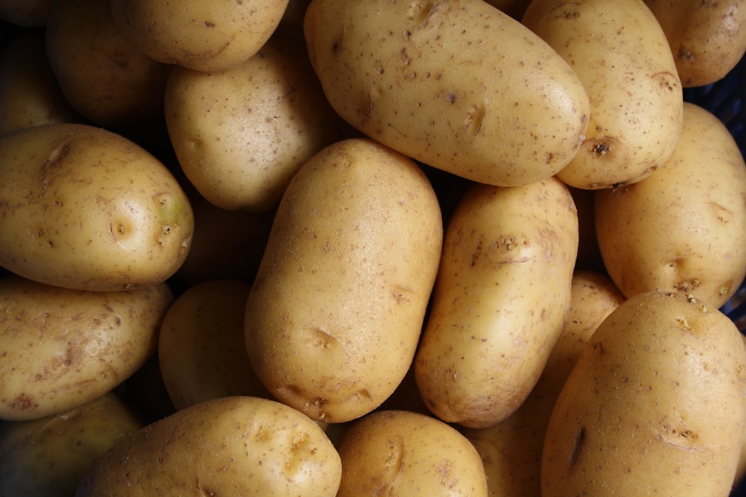 découvrez les bienfaits des patates douces : une source de saveurs sucrées et de nutriments essentiels. apprenez à les cuisiner de manière délicieuse et saine, avec des recettes variées pour tous les goûts.