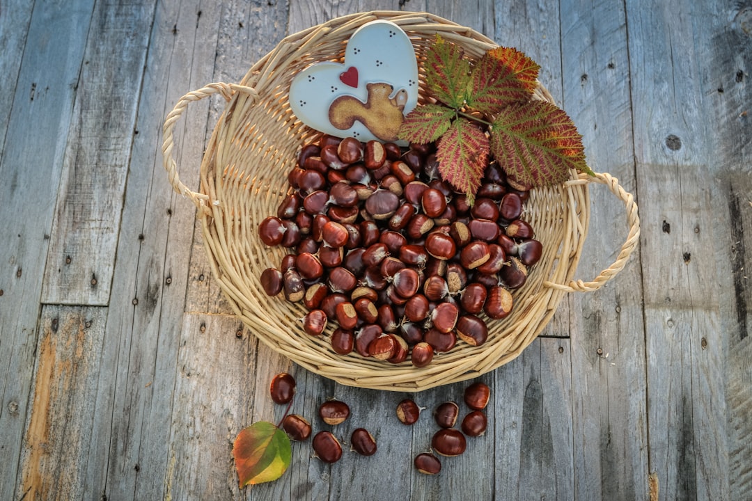 découvrez l'univers des châtaignes : leurs bienfaits nutritionnels, des idées de recettes délicieuses et des conseils de conservation pour savourer ce fruit d'automne tout au long de l'année.