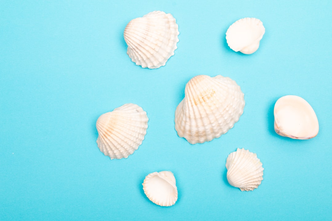 découvrez tout sur le clam, un mollusque savoureux et prisé dans la cuisine. apprenez les différentes variétés, recettes délicieuses et conseils de préparation pour apprécier ce délice de la mer.