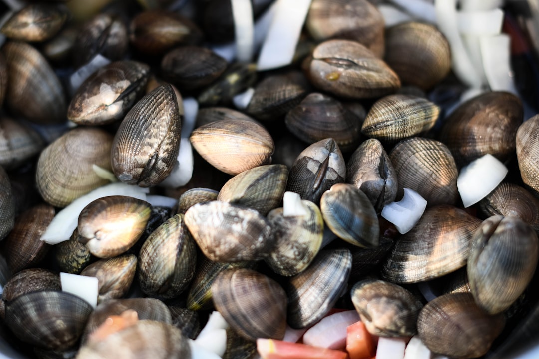 découvrez tout sur les clams : ces délicieux mollusques marins, leurs bienfaits nutritionnels, des recettes savoureuses et des conseils de préparation. plongez dans l'univers des clams et régalez-vous avec des plats riches en saveurs.