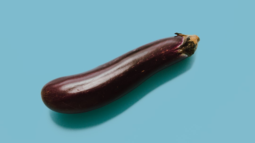 découvrez les meilleures méthodes de conservation des aubergines pour prolonger leur fraîcheur et leurs saveurs. apprenez des astuces pratiques pour le stockage, la congélation et la mise en bocaux afin de savourer les aubergines toute l'année.