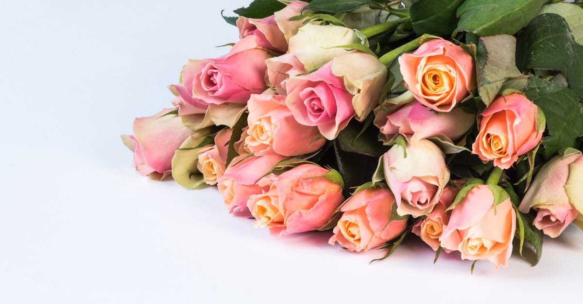 célébrez votre anniversaire de manière mémorable avec nos idées uniques. découvrez des conseils pour organiser une fête inoubliable, des cadeaux originaux et des astuces pour personnaliser votre célébration. faites de chaque anniversaire un événement exceptionnel.