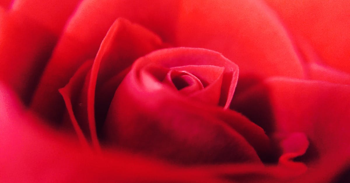 découvrez notre sélection de fragrances envoûtantes, alliant fraîcheur et élégance pour sublimer votre personnalité. trouvez le parfum idéal qui vous accompagnera au quotidien et laissez votre empreinte olfactive.