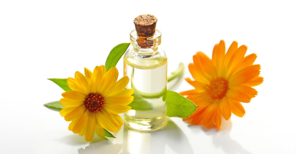 découvrez l'univers envoûtant des fragrances. plongez dans un monde olfactif où chaque parfum raconte une histoire unique, alliant élégance, sophistication et émotions. trouvez la fragrance qui vous correspond et laissez-vous porter par un voyage sensoriel inoubliable.