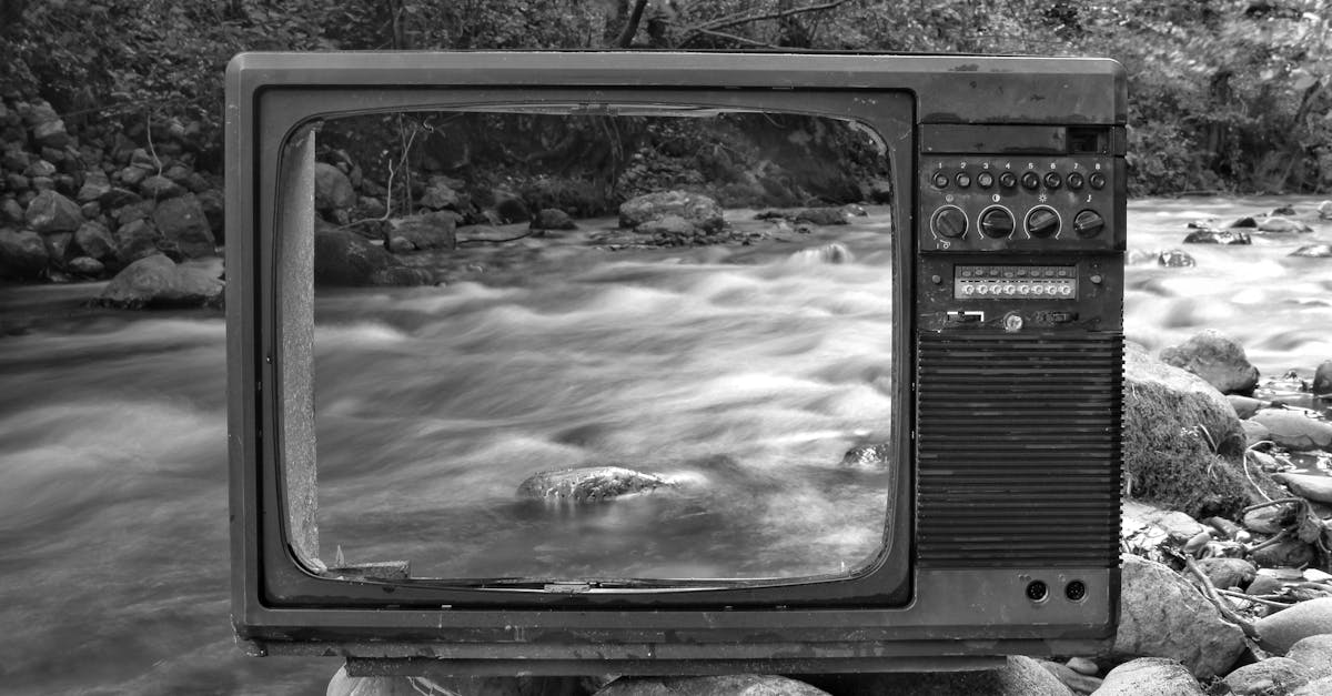 découvrez l'univers du grunge, un style musical et esthétique emblématique des années 90, caractérisé par son énergie brute et son authenticité. plongez dans l'histoire des groupes cultes, des tendances de mode et de l'influence culturelle qui continuent de résonner aujourd'hui.