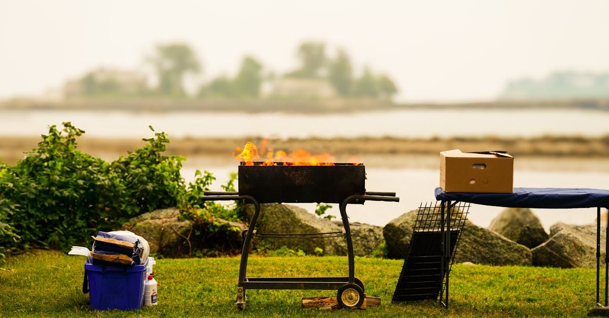 découvrez l'art de la cuisson sous pression ! apprenez à préparer des plats savoureux rapidement et facilement grâce à des recettes simples et des astuces pratiques pour optimiser votre autocuiseur.