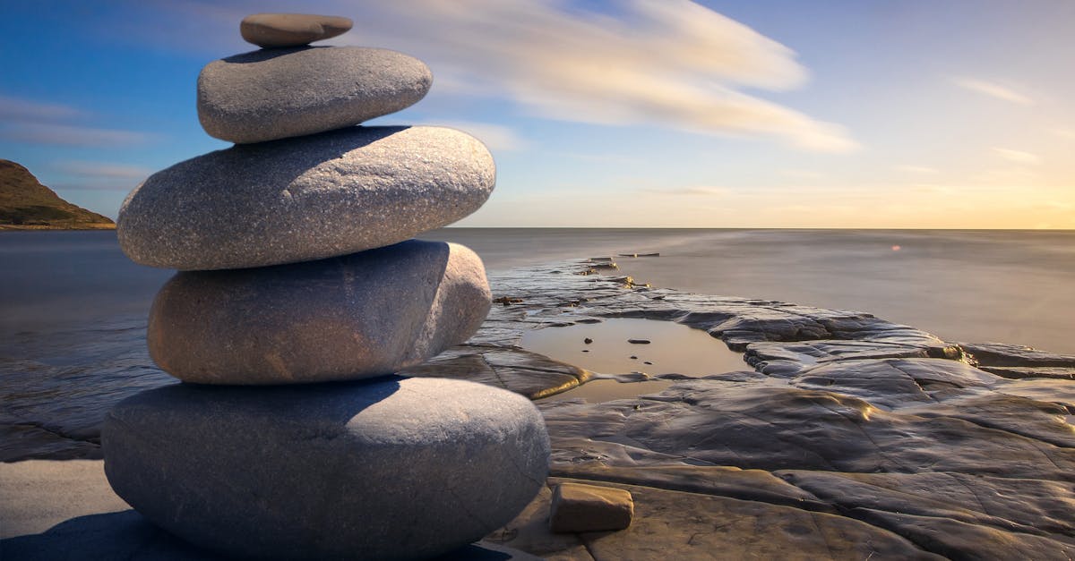 découvrez notre sélection de produits apaisants conçus pour soulager le stress et favoriser la détente. trouvez des solutions douces pour un bien-être optimal au quotidien.