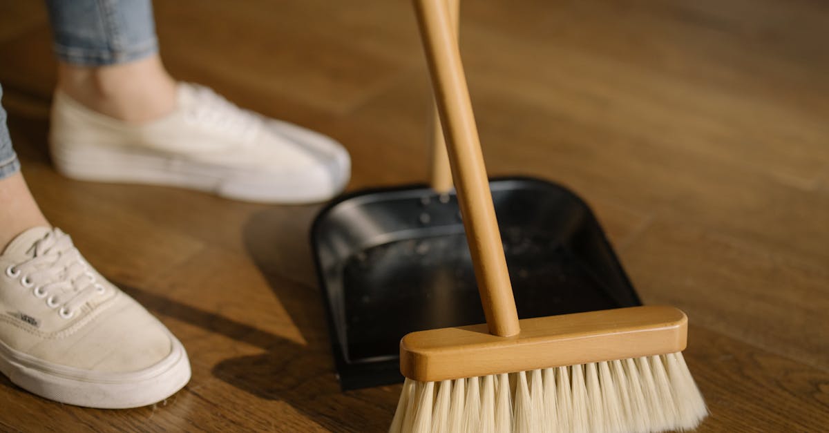 découvrez nos services de nettoyage professionnels pour un intérieur impeccable. que ce soit pour votre maison, bureau ou espace commercial, notre équipe qualifiée met à votre disposition des solutions sur mesure pour un environnement sain et agréable.
