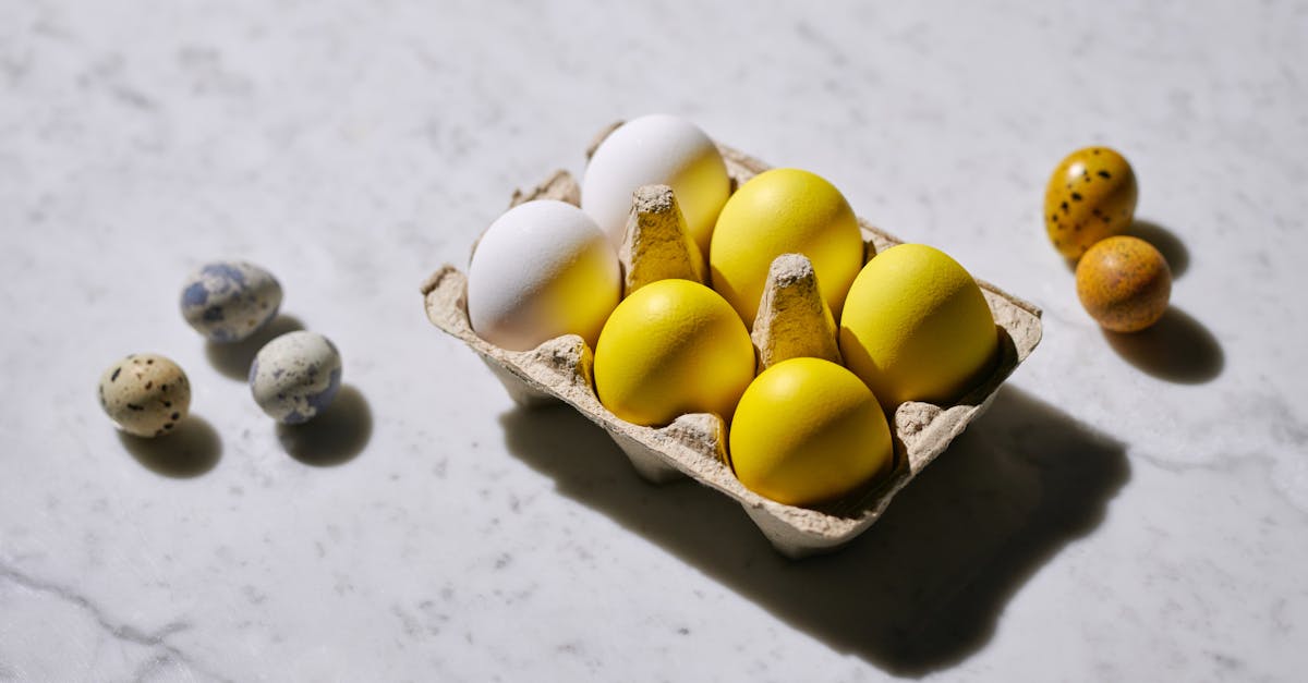 découvrez tout sur les œufs : nutrition, recettes savoureuses, conseils de cuisson et bien plus encore. apprenez à intégrer cet aliment polyvalent dans votre alimentation quotidienne.