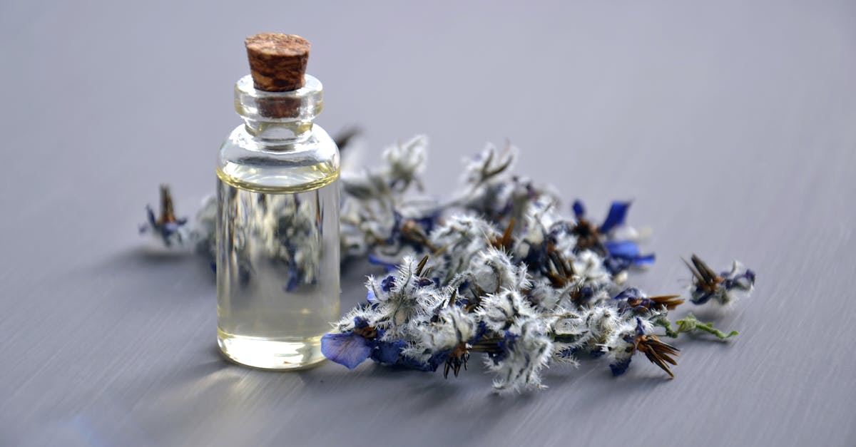 découvrez les bienfaits de l’huile de monoï pour la peau et les cheveux : hydratation, douceur, protection et éclat naturel grâce à ce trésor polynésien.