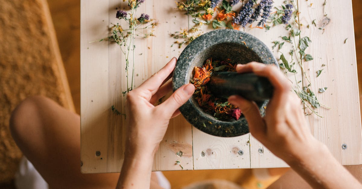 découvrez les meilleurs remèdes naturels pour améliorer votre bien-être au quotidien. conseils, astuces et solutions naturelles pour prendre soin de votre santé en toute simplicité.