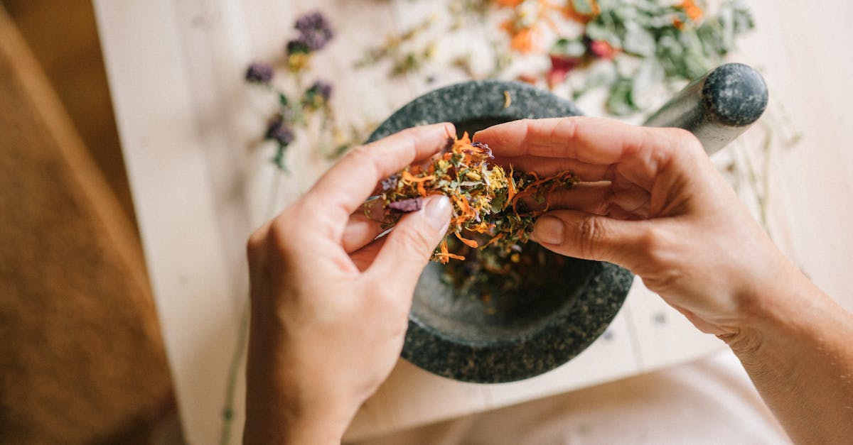 découvrez des remèdes naturels efficaces pour améliorer votre bien-être au quotidien. astuces, plantes médicinales et conseils pour une santé au naturel.