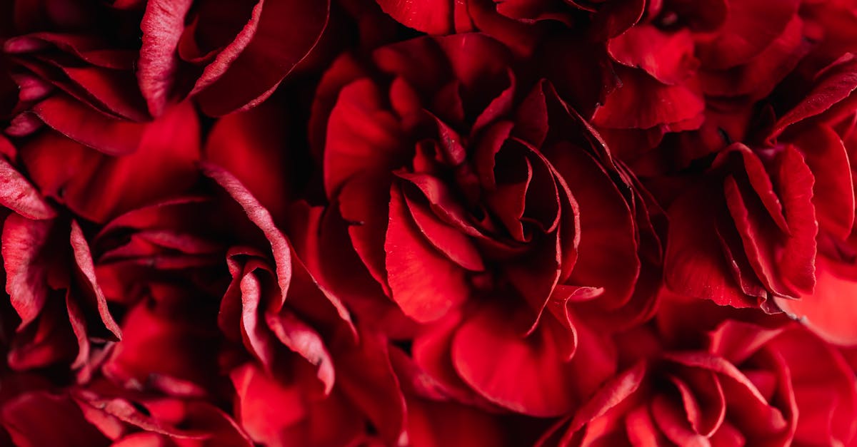 découvrez l'essence de la passion, ce puissant moteur de la vie qui nous pousse à poursuivre nos rêves, à créer et à aimer. explorez comment cultiver cette énergie au quotidien et transformez votre quotidien en une aventure inspirante.