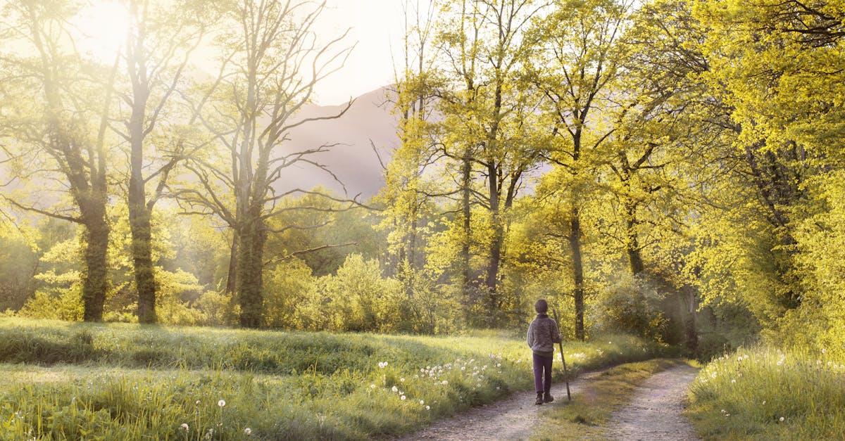 découvrez les bienfaits de la marche pour votre santé et votre bien-être. explorez des conseils, des parcours inspirants et des astuces pour intégrer la randonnée dans votre quotidien.