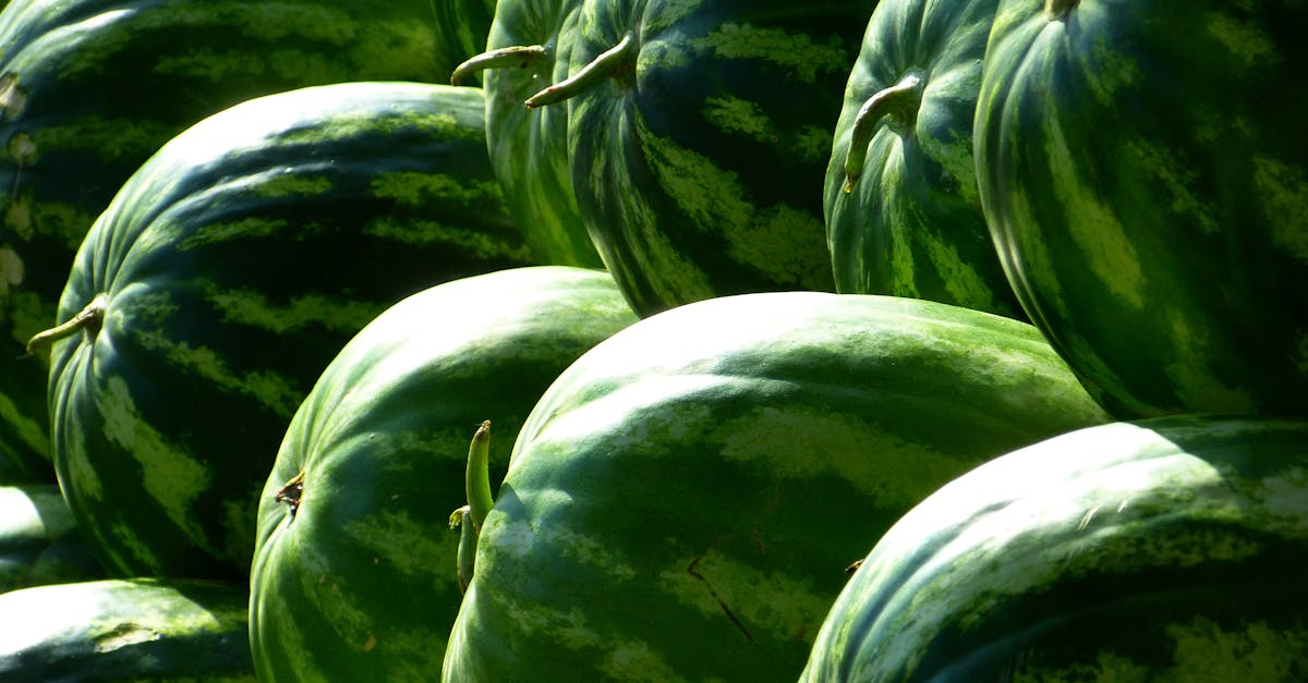 découvrez tous les bienfaits de la pastèque : un fruit rafraîchissant, riche en vitamines et pauvre en calories, parfait pour l'été. conseils de dégustation, idées recettes et informations nutritionnelles sur la pastèque.