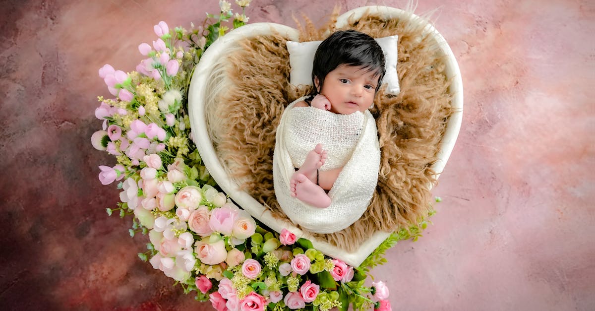 découvrez le baby nook, un espace cosy et sécurisé pour accueillir votre bébé dès la naissance. offrez à votre enfant confort et bien-être dans un environnement pensé pour ses premiers moments.