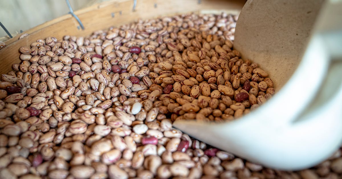 découvrez l'importance des essential foods pour une alimentation équilibrée. apprenez à sélectionner et intégrer ces aliments essentiels dans votre quotidien pour améliorer votre santé et votre bien-être.