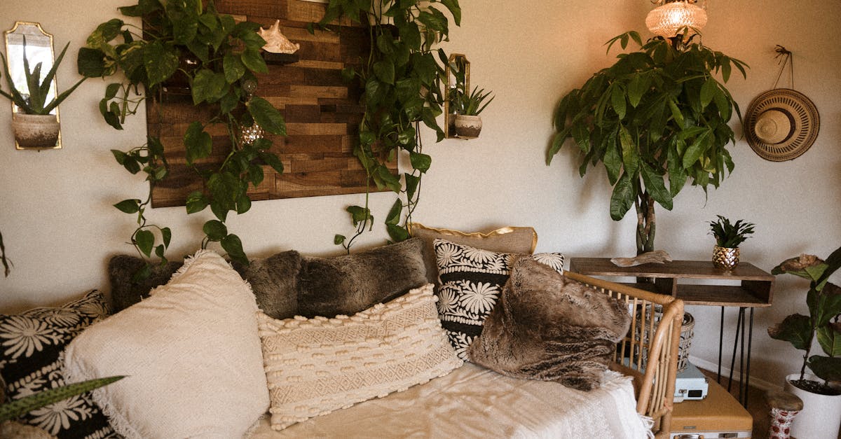 découvrez les meilleures plantes d’intérieur pour sublimer votre espace, purifier l’air et apporter une touche de nature à votre maison. conseils d’entretien, sélection des espèces et astuces déco pour des plantes en pleine santé.