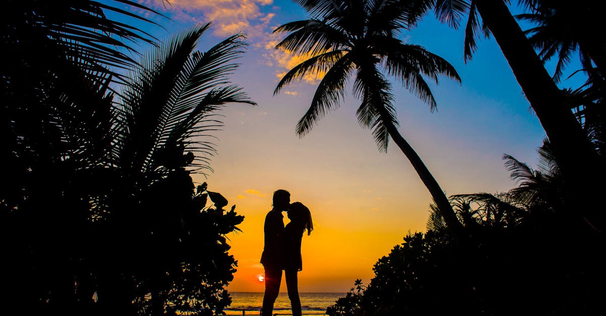 découvrez la signification de l'amour, ses différentes formes et son importance dans nos vies. plongez dans l'univers des sentiments et explorez comment l'amour influence nos relations et notre bien-être.