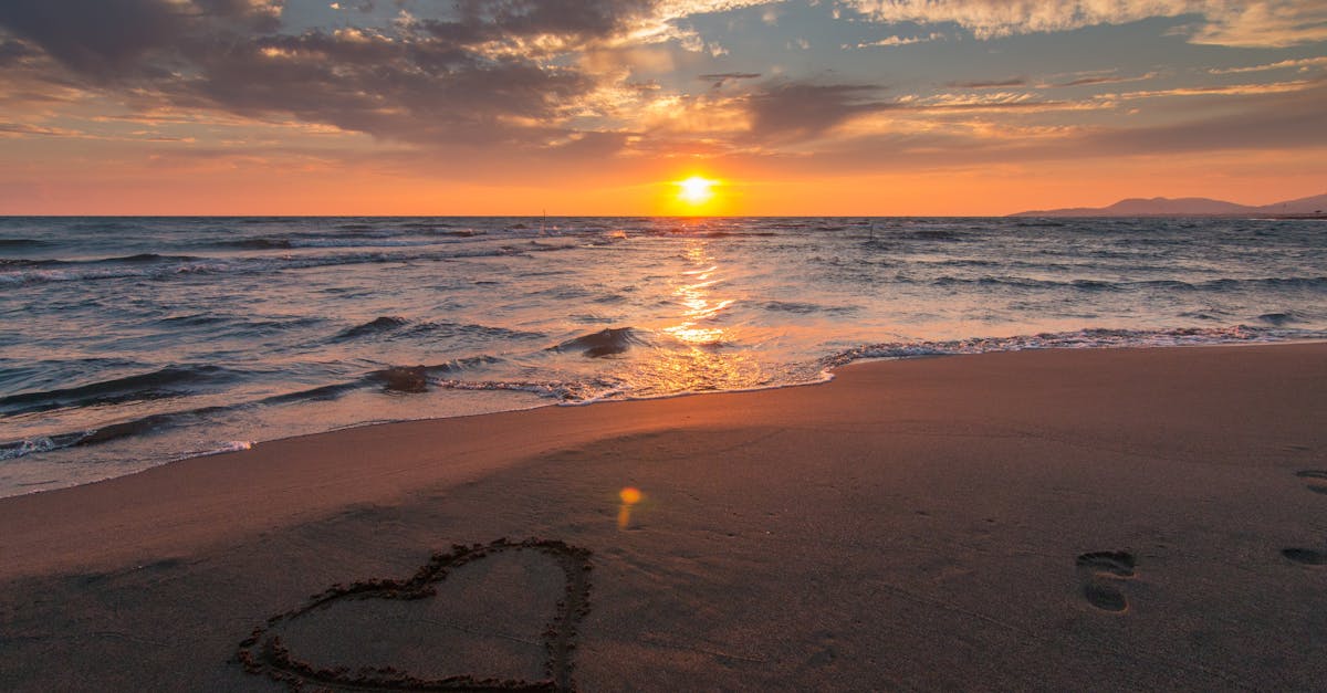 découvrez les multiples facettes de l'amour : émotions, relations, et conseils pour vivre une belle histoire. explorez les secrets du sentiment le plus universel et inspirant.