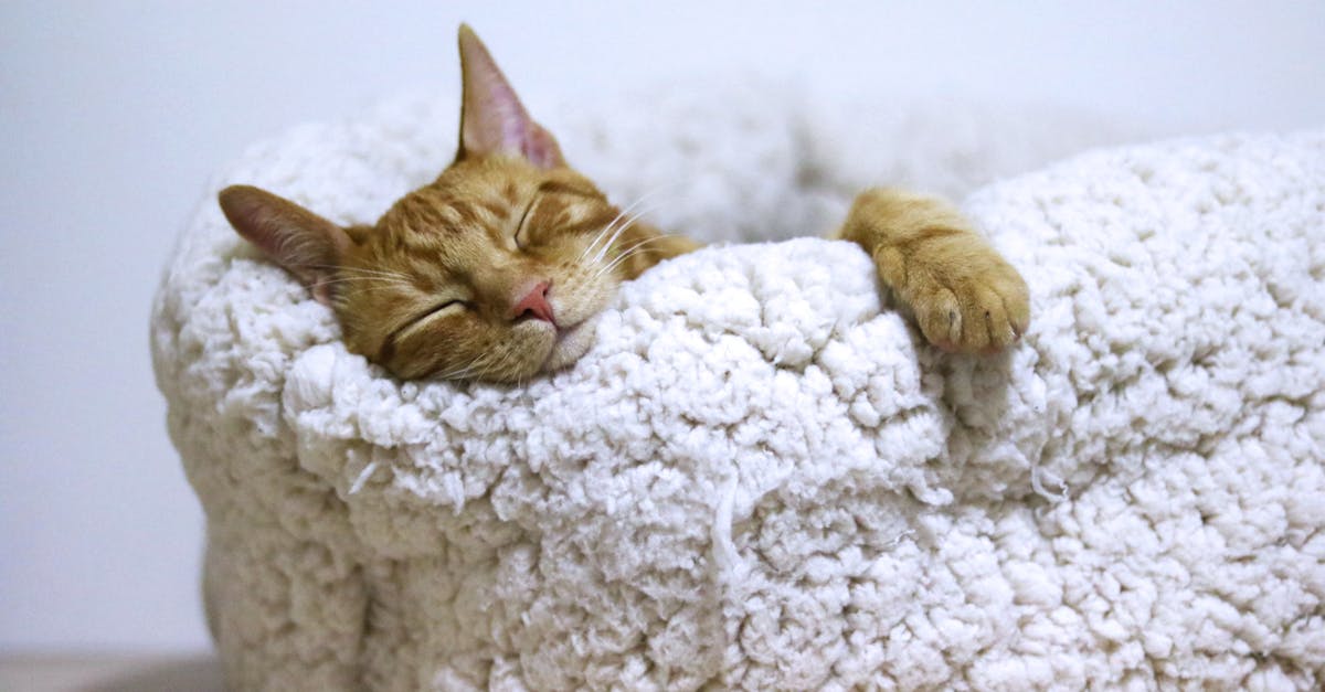 découvrez les bienfaits du sommeil, des conseils pour mieux dormir et des astuces pour améliorer la qualité de vos nuits. retrouvez tout ce qu'il faut savoir sur le sommeil pour une santé optimale.