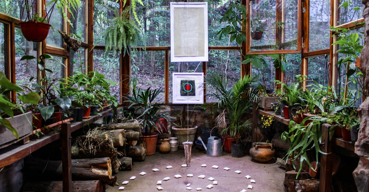 découvrez des idées et astuces pour une décoration durable, éthique et respectueuse de l’environnement. adoptez un intérieur tendance tout en réduisant votre impact écologique grâce à des matériaux responsables et des choix éco-conscients.