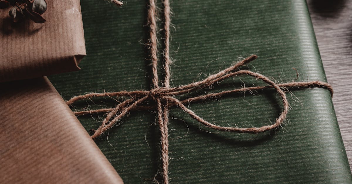 découvrez comment la décoration durable allie esthétisme et respect de l’environnement pour transformer chaque espace de manière responsable. inspirez-vous d’idées et de conseils pour adopter la sustainable decoration dans votre intérieur.