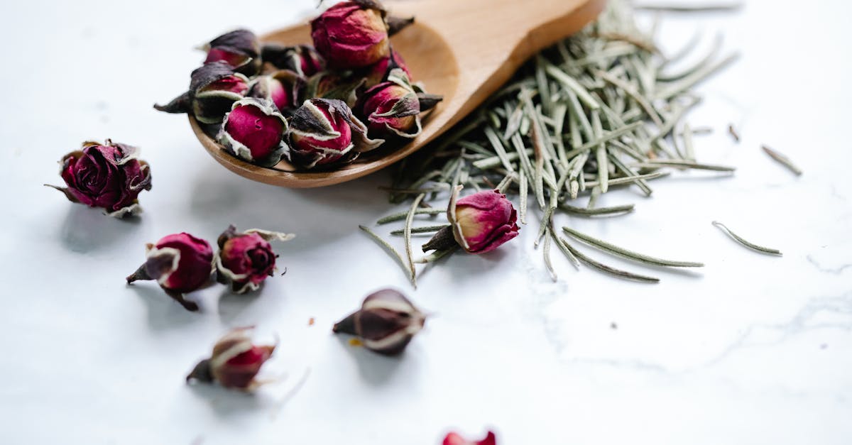 découvrez les meilleurs remèdes pour soulager rapidement un mal de dents. astuces naturelles, conseils pratiques et solutions efficaces pour apaiser la douleur dentaire à la maison.