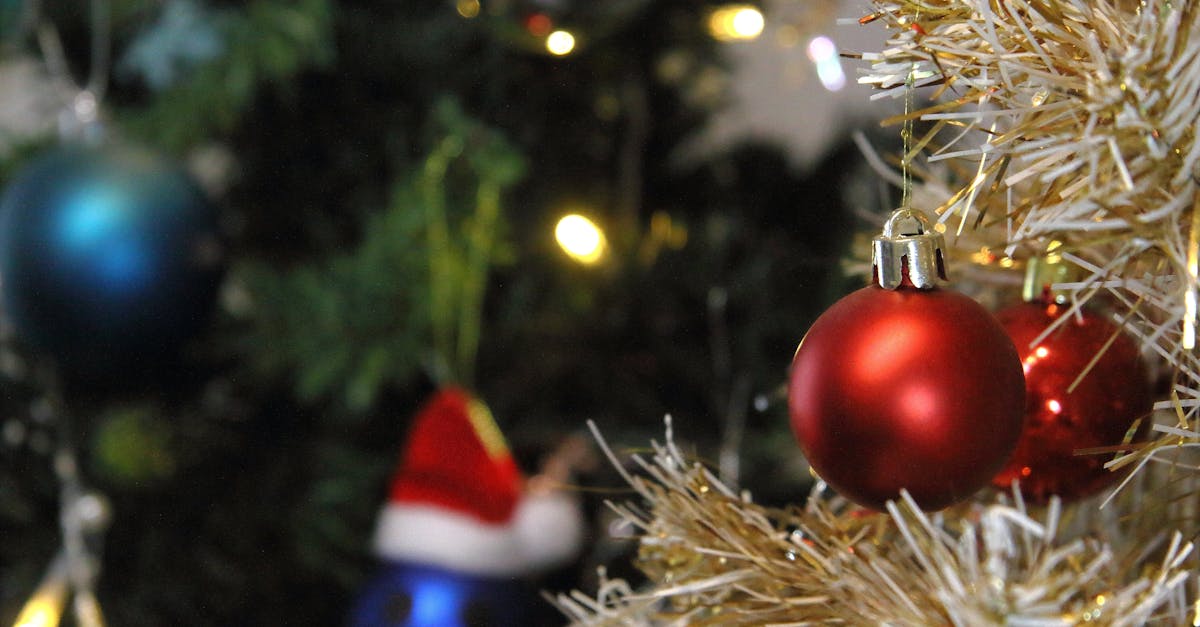 découvrez notre sélection des meilleurs films de noël à regarder en famille ou entre amis. trouvez des classiques, des comédies et des nouvelles sorties pour célébrer la magie de noël.