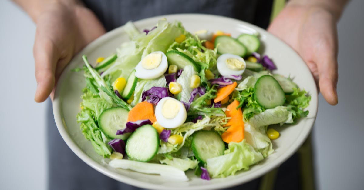 découvrez nos conseils et astuces pour suivre un régime alimentaire sain, équilibré et adapté à vos besoins. perdez du poids durablement tout en préservant votre bien-être avec nos guides sur la diététique et la nutrition.
