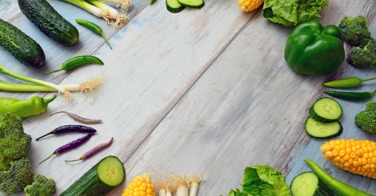découvrez des conseils, astuces et plans alimentaires efficaces pour adopter une diet adaptée à vos besoins, améliorer votre santé et atteindre vos objectifs bien-être facilement.
