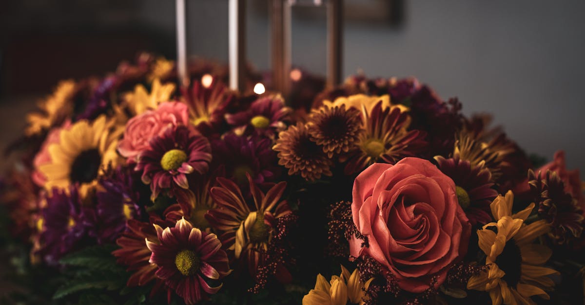 découvrez comment décorer votre intérieur avec style pour l'automne : idées, conseils et inspirations pour une ambiance chaleureuse et accueillante avec une décoration automnale tendance.