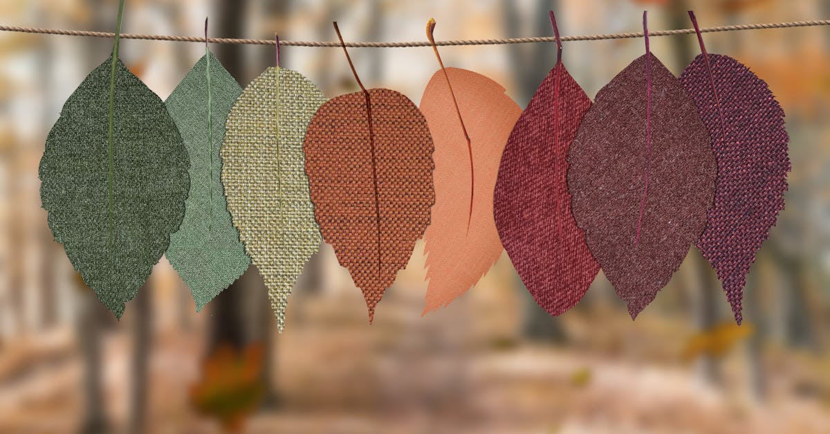découvrez des idées de décoration d’automne pour transformer votre intérieur avec des couleurs chaudes, des accessoires naturels et des inspirations faciles à réaliser pour une ambiance cosy et accueillante.