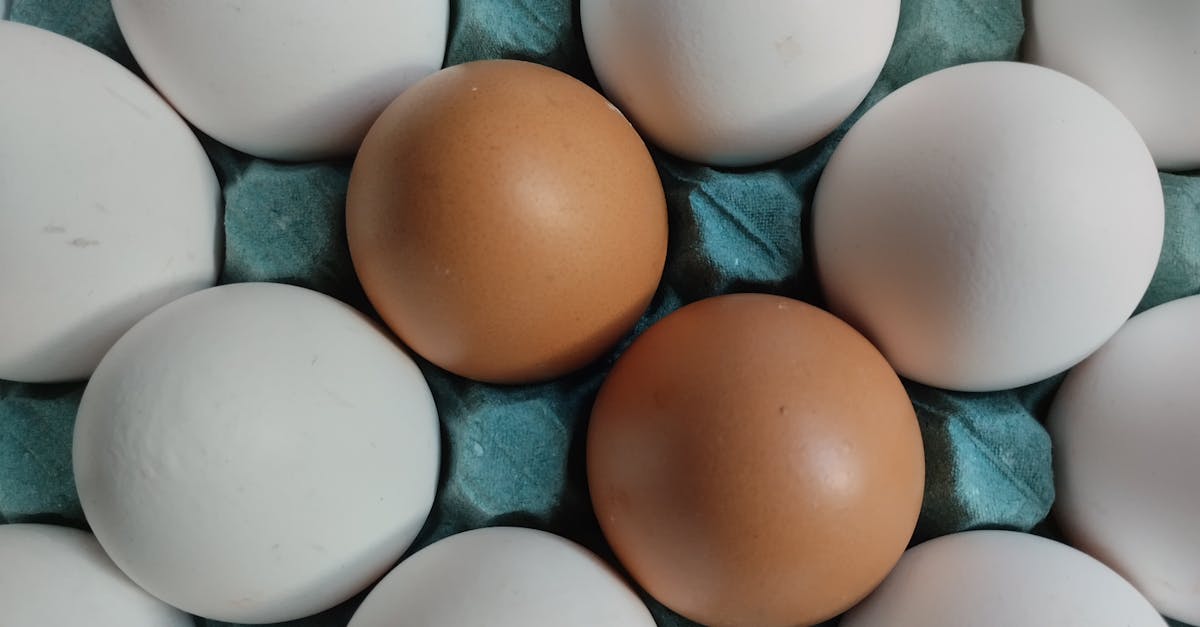 découvrez le régime natman, une méthode minceur rapide promettant une perte de poids notable en seulement 4 jours grâce à un programme alimentaire strict et efficace. conseils, menus et précautions à connaître !