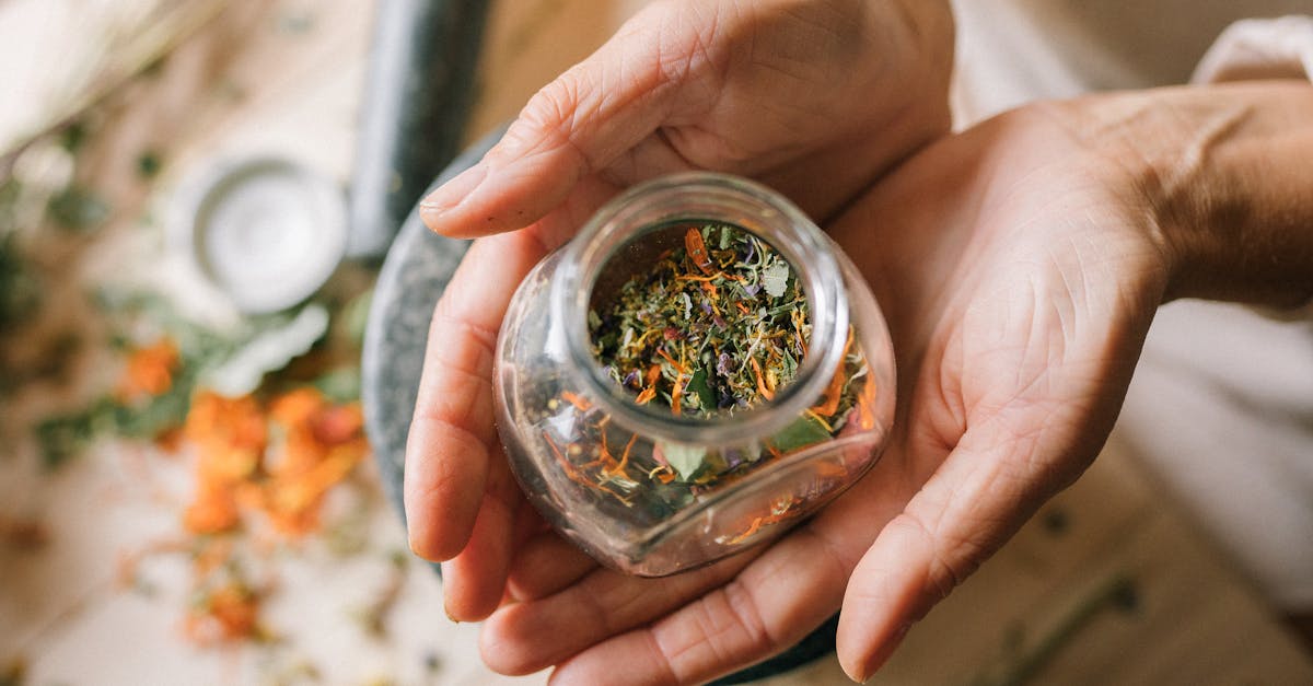 découvrez les meilleurs remèdes naturels pour améliorer votre bien-être au quotidien. conseils, astuces et solutions naturelles pour une santé optimale.