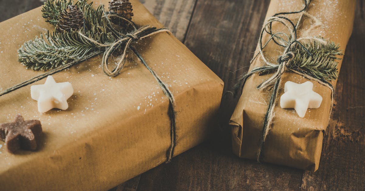 découvrez notre sélection de cadeaux inspirés par la nature : objets écologiques, décorations naturelles, produits bien-être et accessoires durables pour offrir ou se faire plaisir.