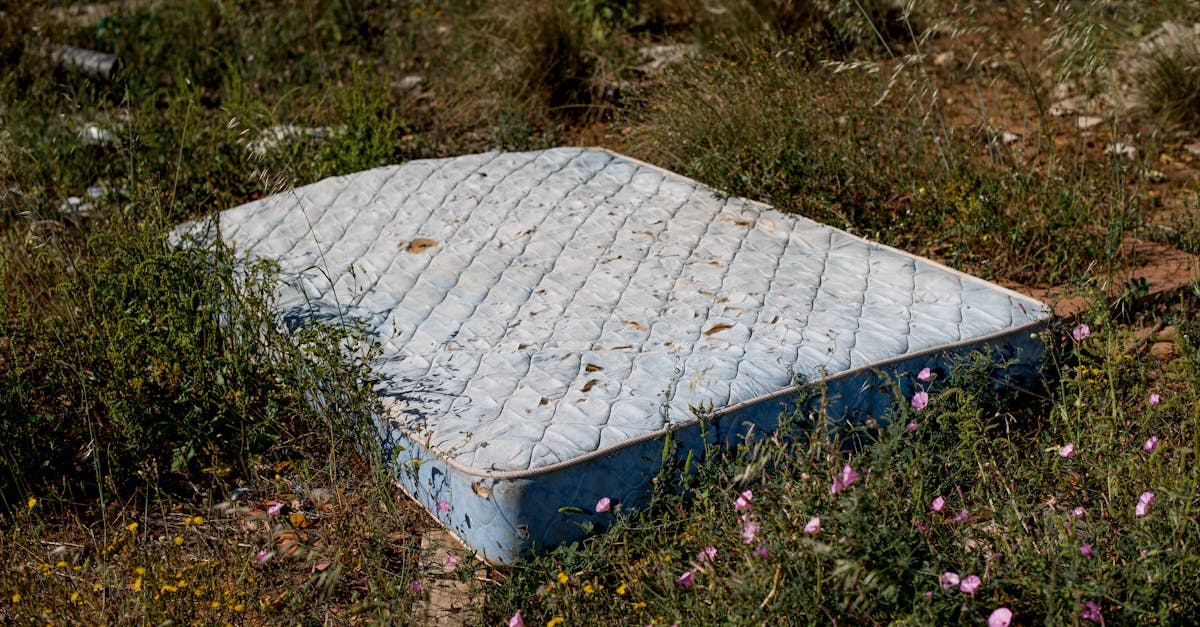 découvrez le confort et le soutien d’un matelas à ressorts ensachés. profitez d’un sommeil réparateur grâce à une indépendance de couchage optimale et une excellente durabilité. idéal pour tous types de dormeurs !