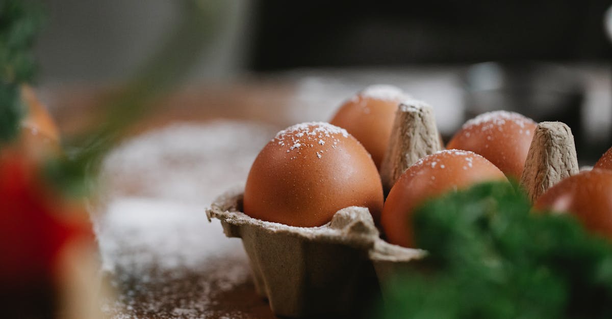découvrez nos recettes riches en protéines, idéales pour renforcer vos muscles, perdre du poids ou adopter une alimentation saine et équilibrée au quotidien.