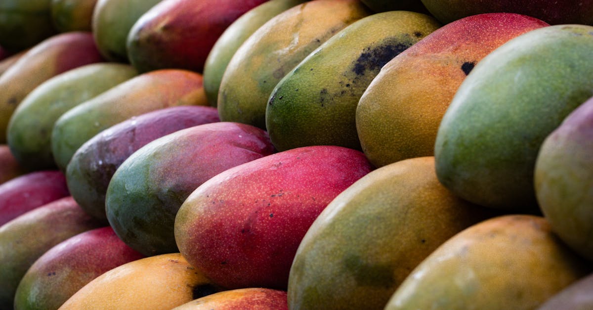 découvrez tout sur la mangue mûre : astuces pour la choisir, bienfaits nutritionnels et savourez son goût sucré et exotique en été.