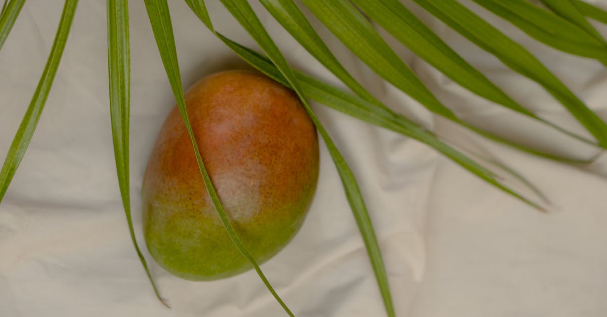 découvrez le goût sucré et juteux de la mangue mûre, un fruit exotique parfait pour vos smoothies, desserts et salades. apprenez à choisir, conserver et savourer les meilleures mangues!