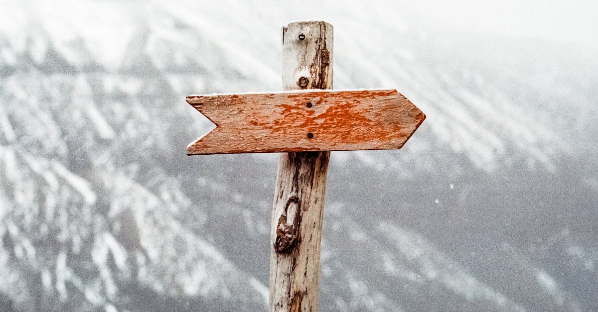 découvrez les différents signes et leurs significations : astrologie, langage corporel, symptômes et signaux à reconnaître pour mieux comprendre votre environnement et votre bien-être.