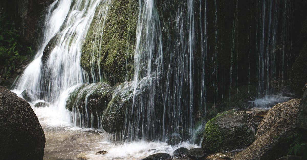 découvrez le sens et l'usage du terme 'babbling' en français, ses différentes nuances et son contexte d'utilisation.