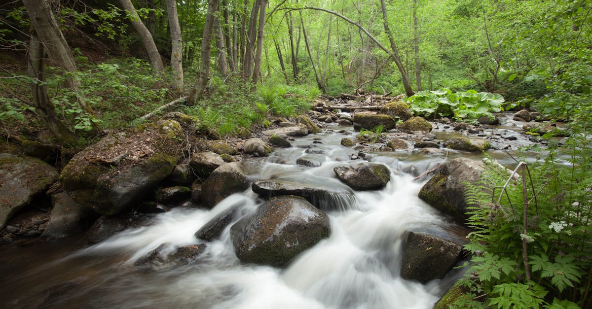 découvrez la signification de 'babbling' : le gazouillement naturel des bébés, entre premiers sons et apprentissage du langage.